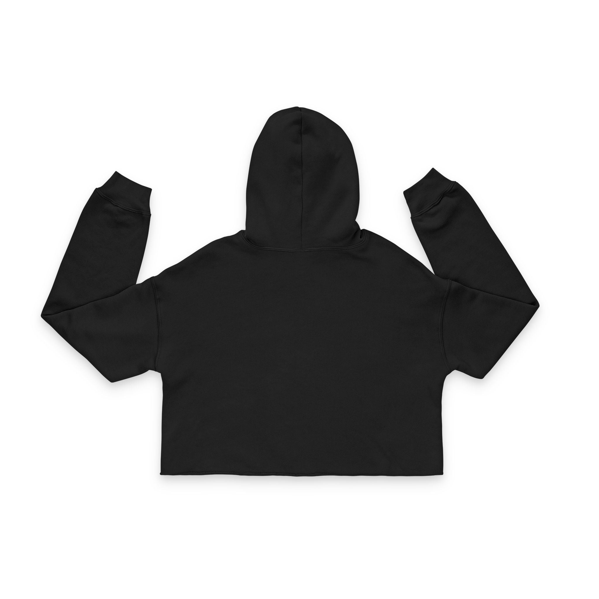 Wake and Lake Circle Crest Women's Cropped Hoodie