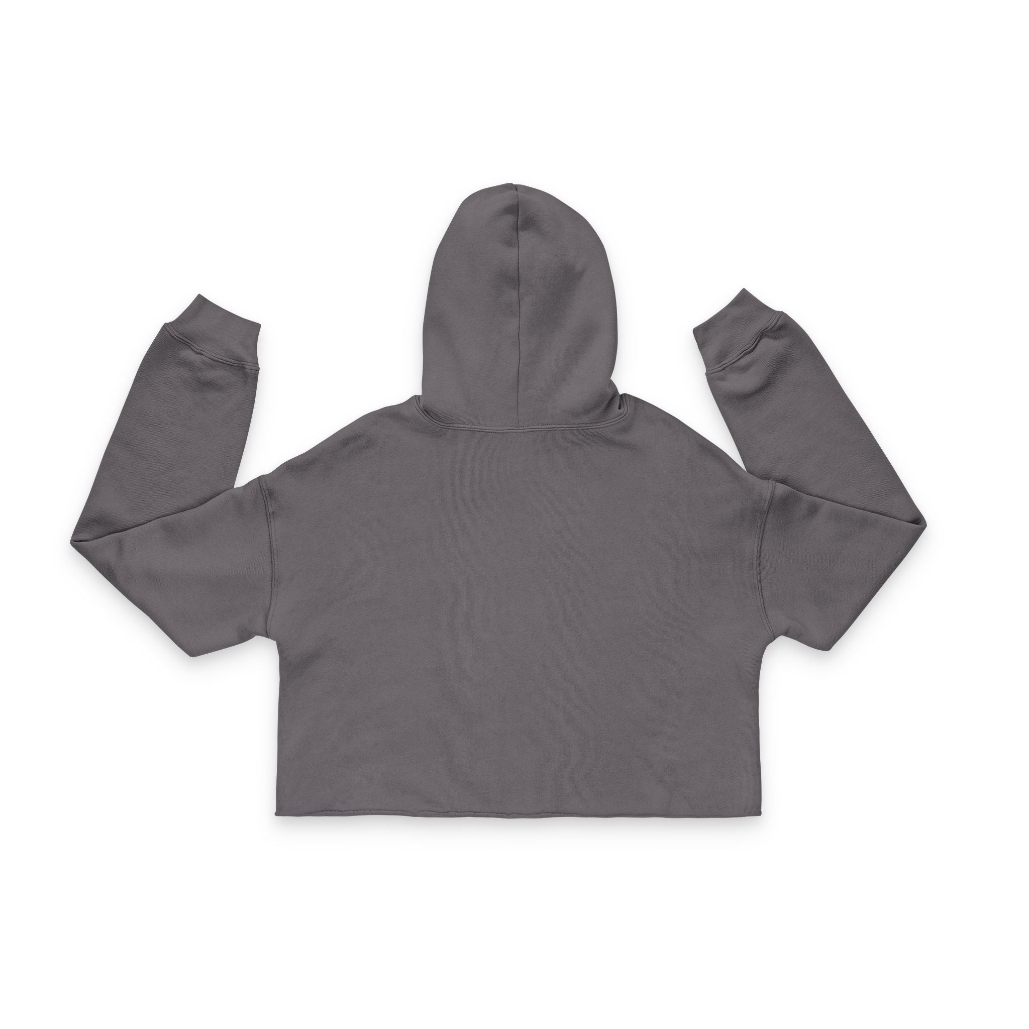 Wake and Lake Michigan Shield Women's Cropped Hoodie