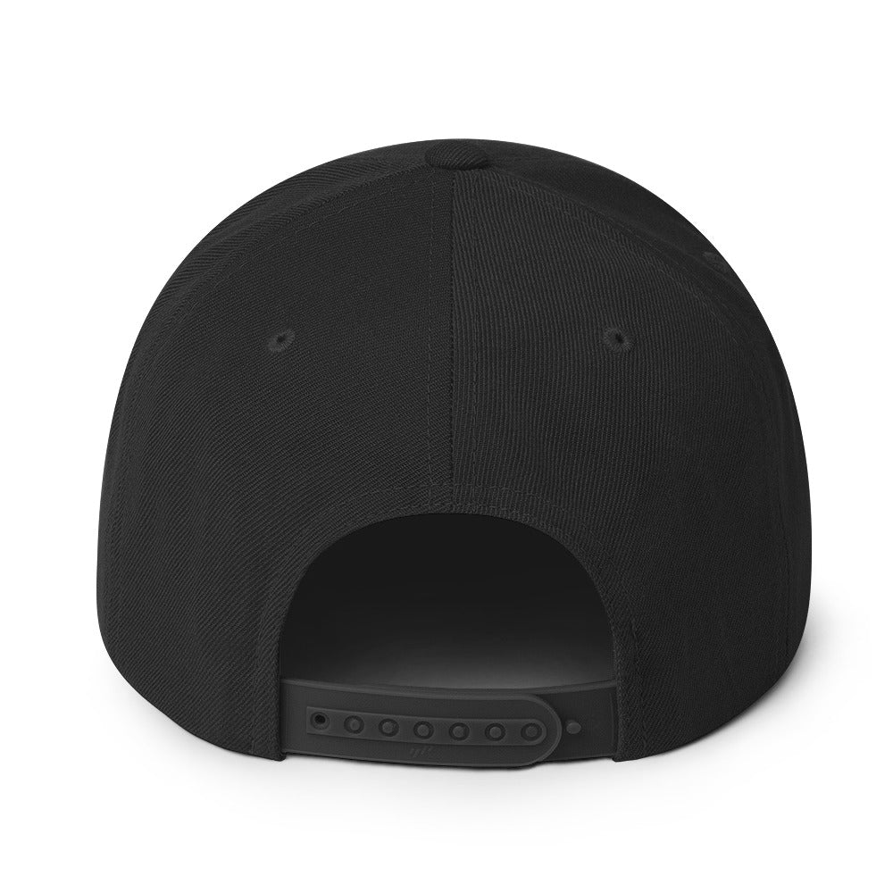 Classic snapback style hat, black, back view