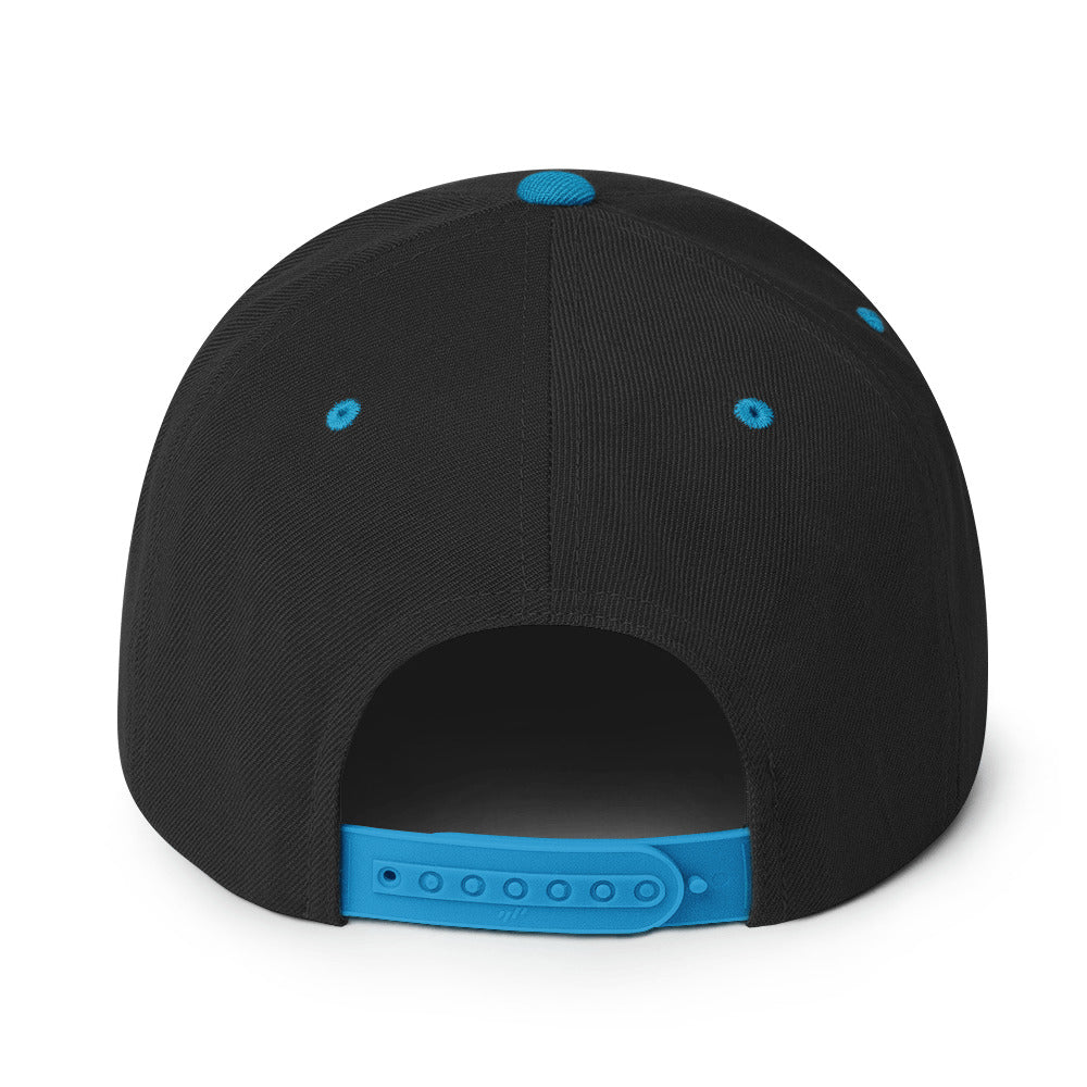 Classic snapback style hat, black-teal, back view