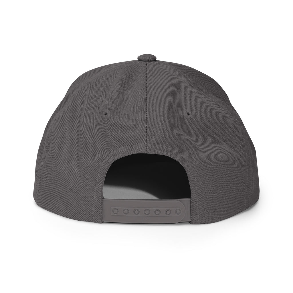 Classic Snap Back Hat, Wake and Lake Coordinate Badge, Dark Grey, rear view