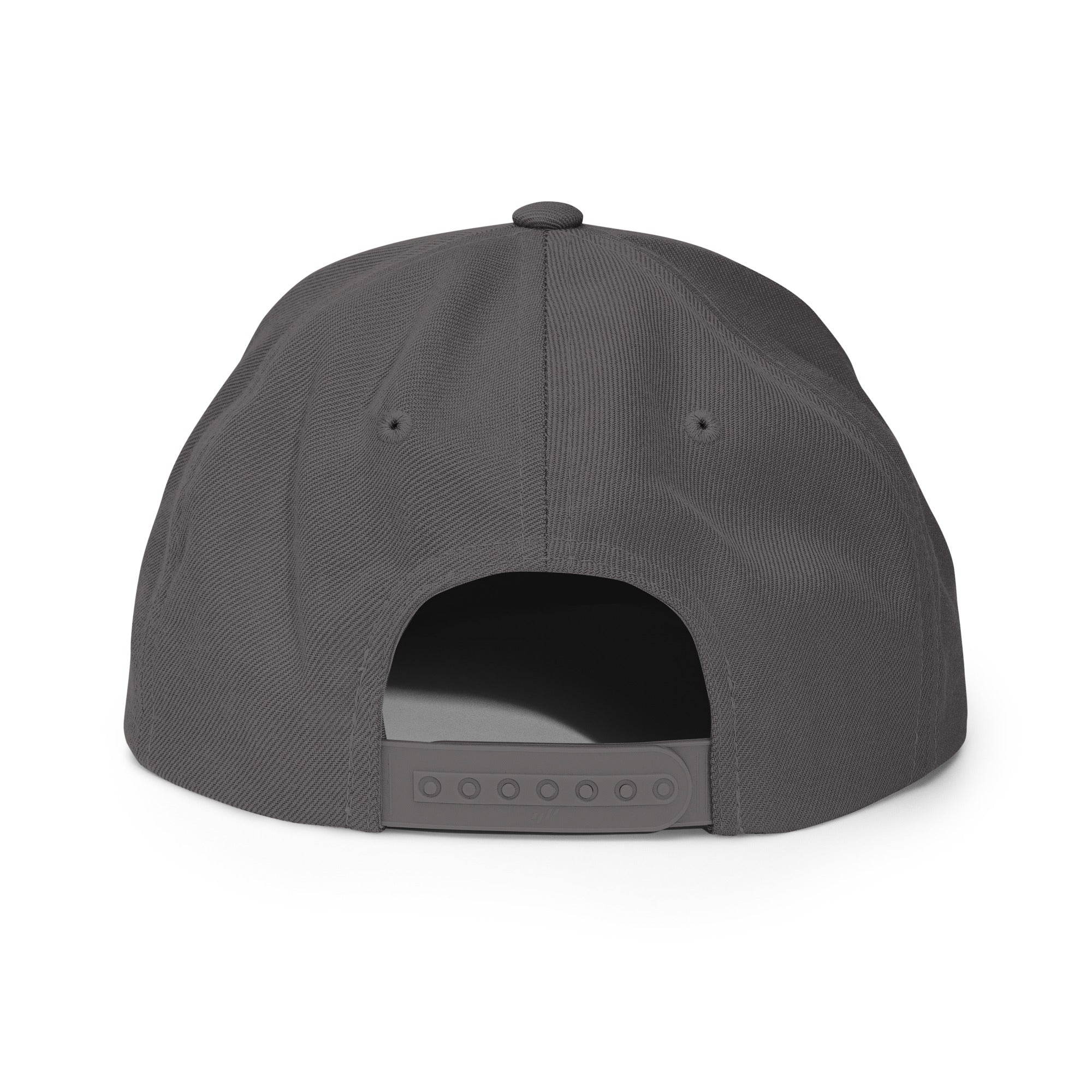 Classic Snap Back Hat, Wake and Lake Coordinate Badge, Dark Grey, rear view