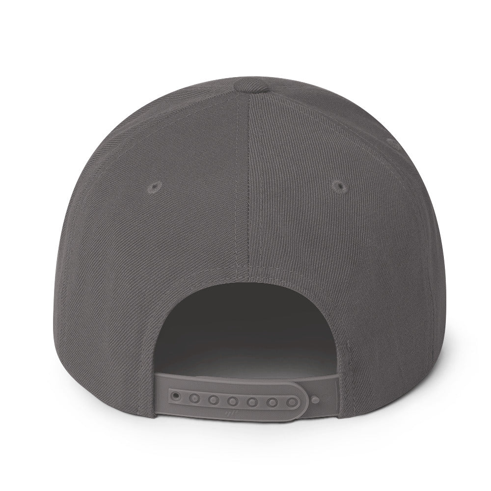 Classic snapback hat, dark grey, back view