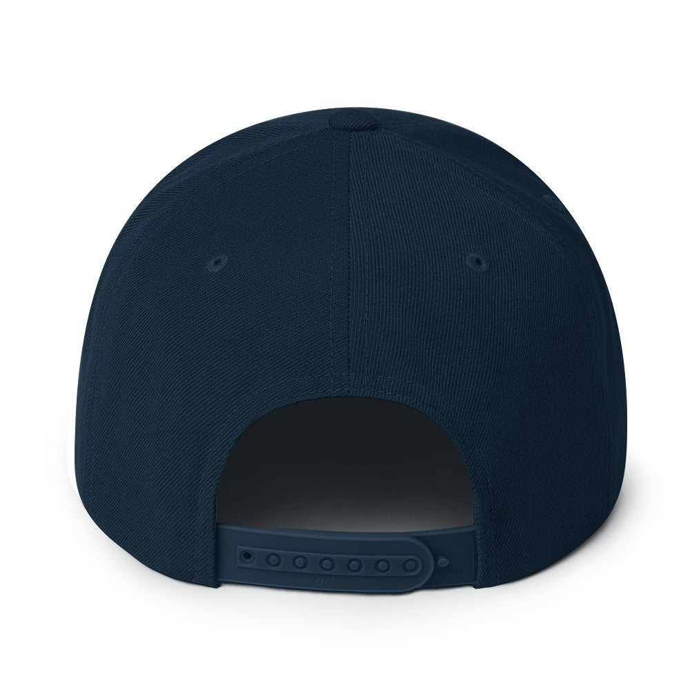 Product Classic snapback style hat, navy, back view