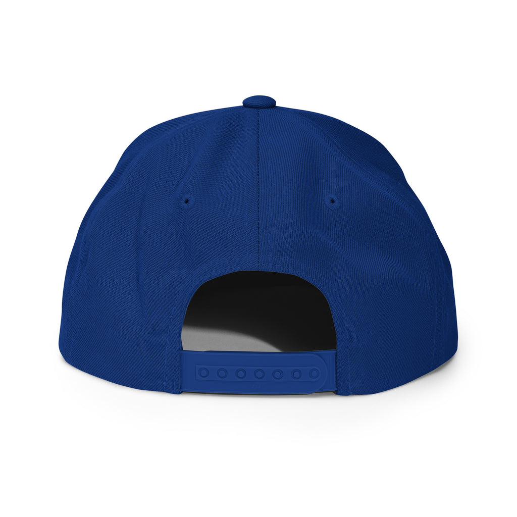 Classic Snap Back Hat, Wake and Lake Coordinate Badge, Royal Blue, rear view