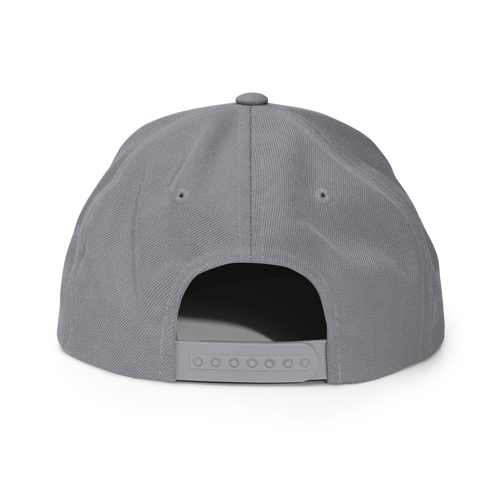 Classic Snap Back Hat, Wake and Lake Coordinate Badge, Silver, rear view