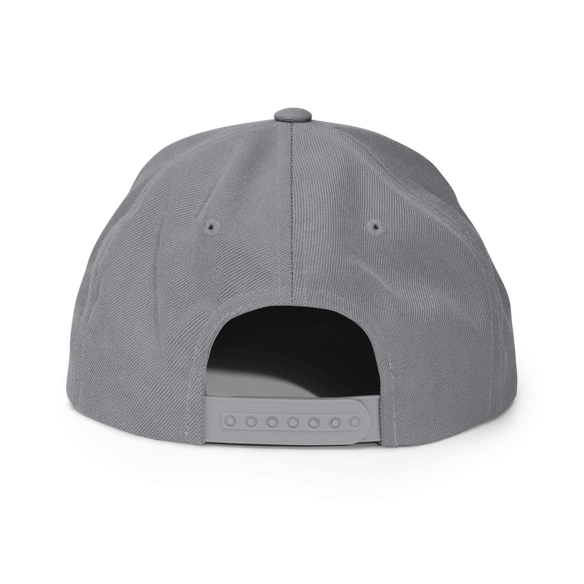 Classic Snap Back Hat, Wake and Lake Coordinate Badge, Silver, rear view