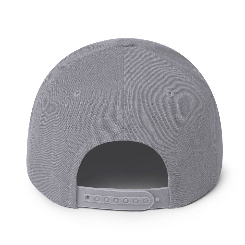 Classic snapback hat, silver, back view
